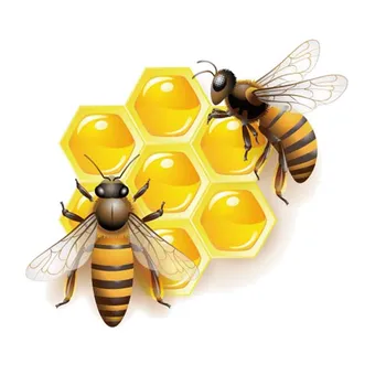 Interesant Creative Desene Animate Albinele Care Mănâncă Miere Masina Autocolant Auto Decal Impermeabilă, Glugă De Protecție De Film De Vinil Decal Decor