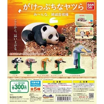Japonia Reale BANDAI Marginea Animale Panda Whalehead Barza de Aur Maimuță Jucării Capsulă Gashapon Masă Ornament
